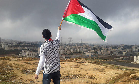 Palestinian flying flag Palestinian flying flag