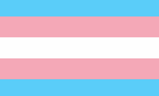 We support reforming the Gender Recognition Act We support reforming the Gender Recognition Act