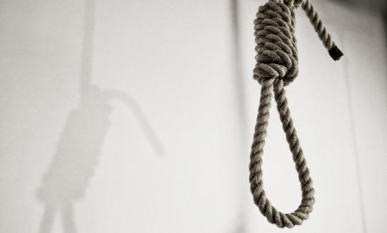 Rope in the shape of a noose with shadow background Rope in the shape of a noose with shadow background