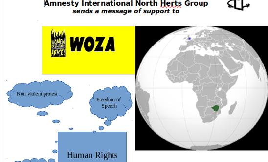 Poster in solidarity with WOZA, November 2013 Poster in solidarity with WOZA, November 2013