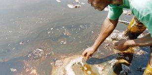 Oil spill in Bodo, Nigeria