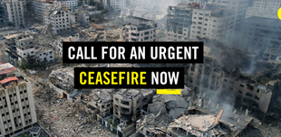 call for an urgent ceasefire now, with image of destruction of homes and buildings in Gaza