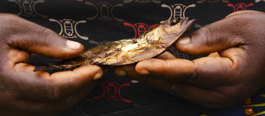 Cecilia Kuru holds a fish in Bodo, Niger Delta